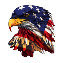 Load image into Gallery viewer, American Bald Eagle
